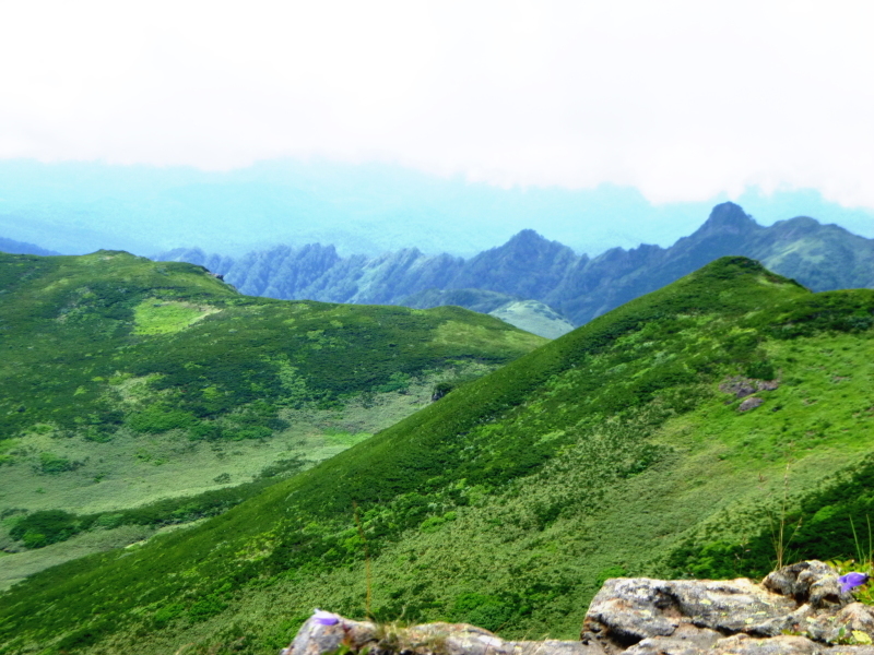 d0170615_13491147.jpg