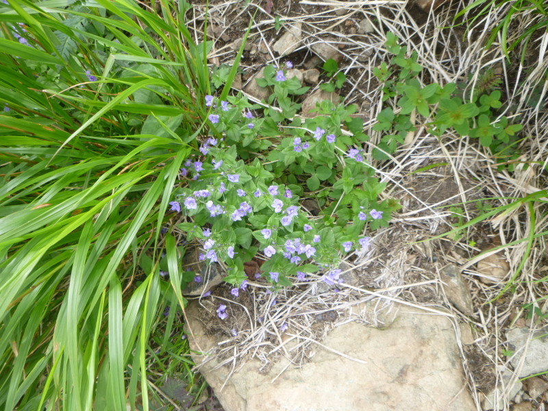 d0170615_13492780.jpg