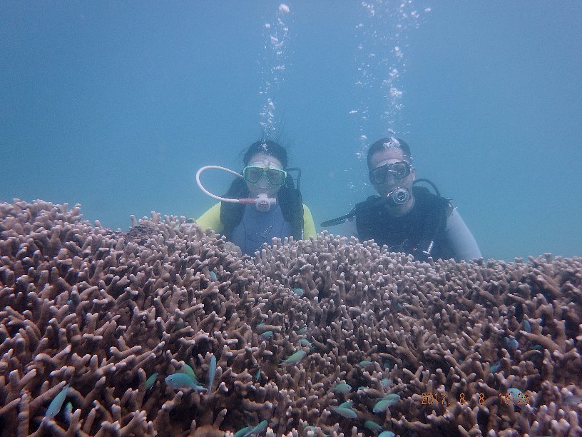 体験diving_d0342920_22094410.jpg