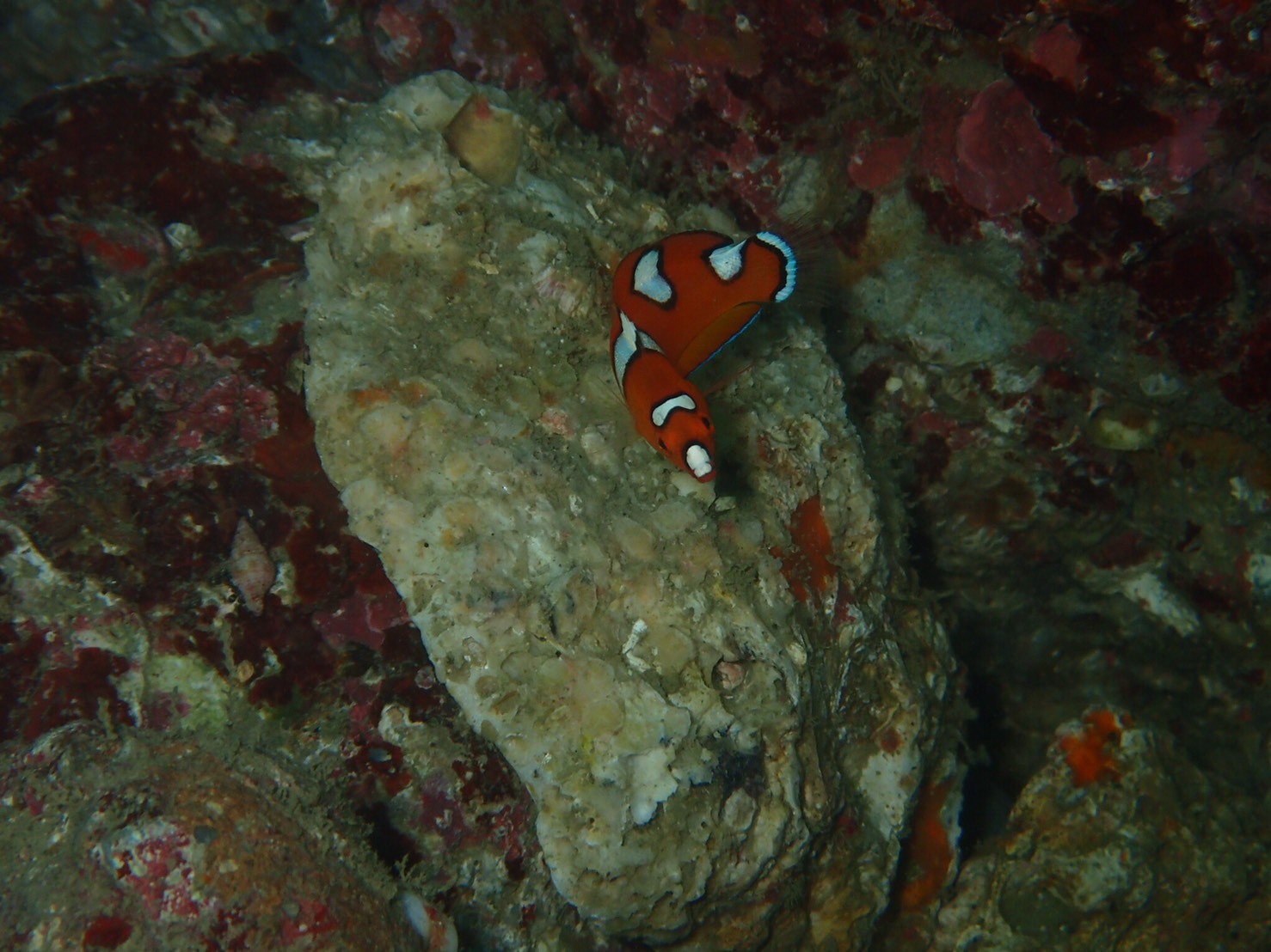 c0115421_21381551.jpg