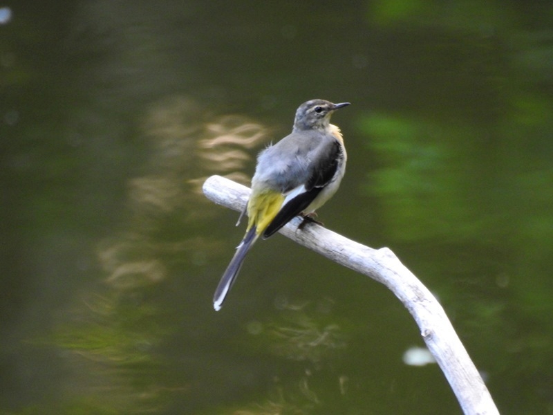 e0362222_21073401.jpg