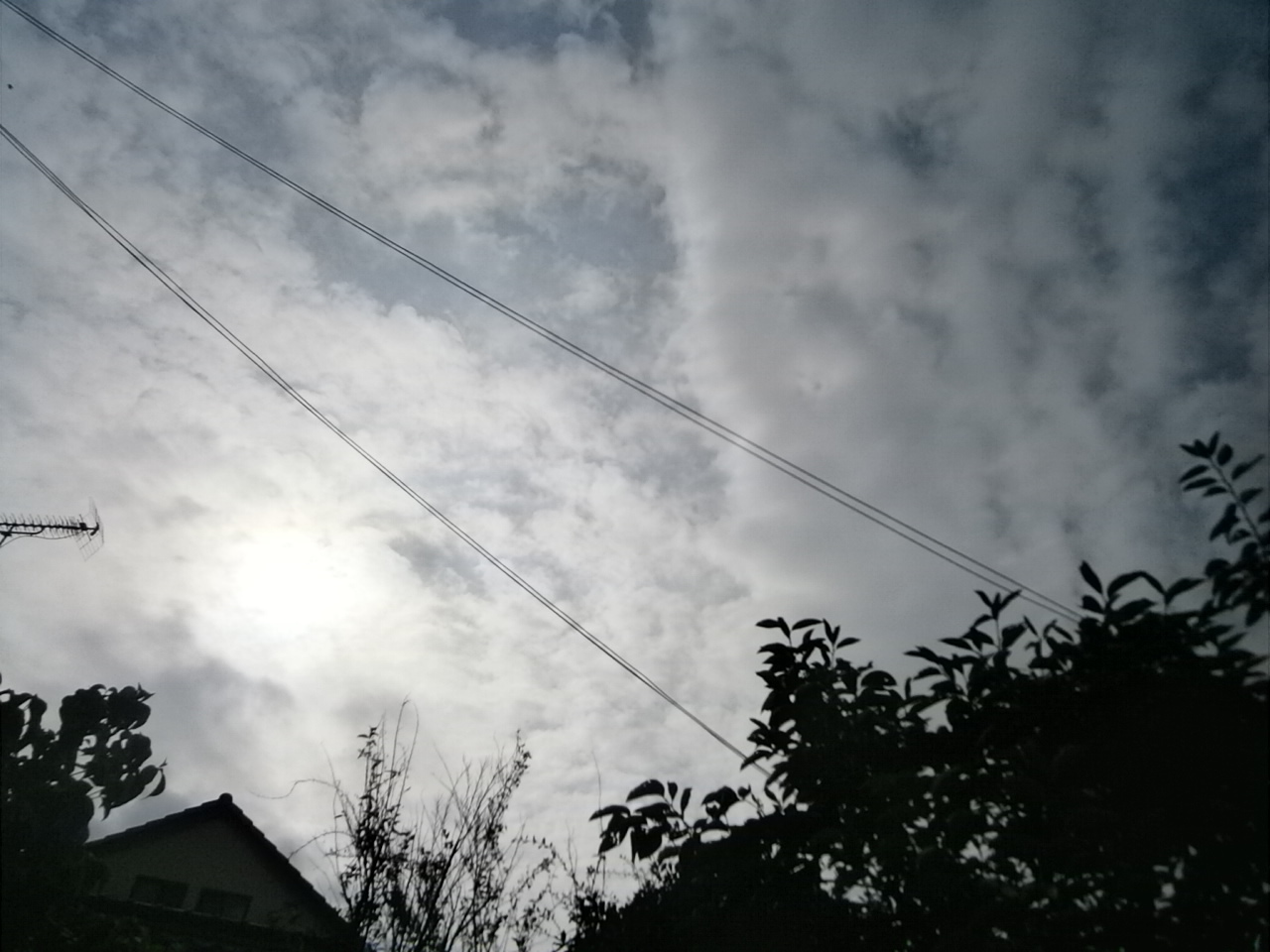 d0343540_17063118.jpg