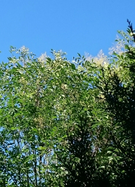 d0298558_02411521.jpg