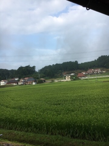 帰省_f0363168_07002893.jpg