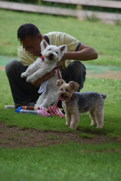 b0242873_00305857.png