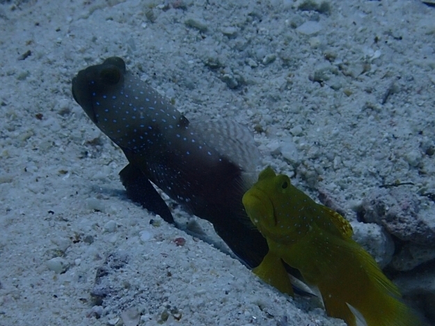c0039073_22222313.jpg