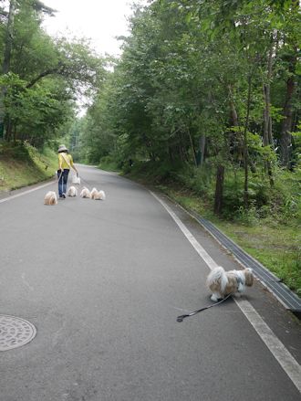 むーちーママたちが蓼科に来てくれたよ。_c0090198_21211233.jpg