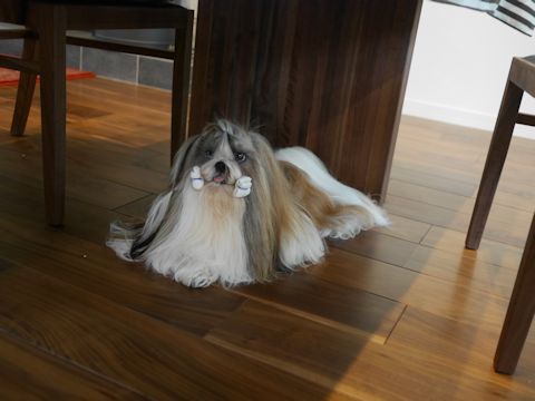 c0090198_21351782.jpg