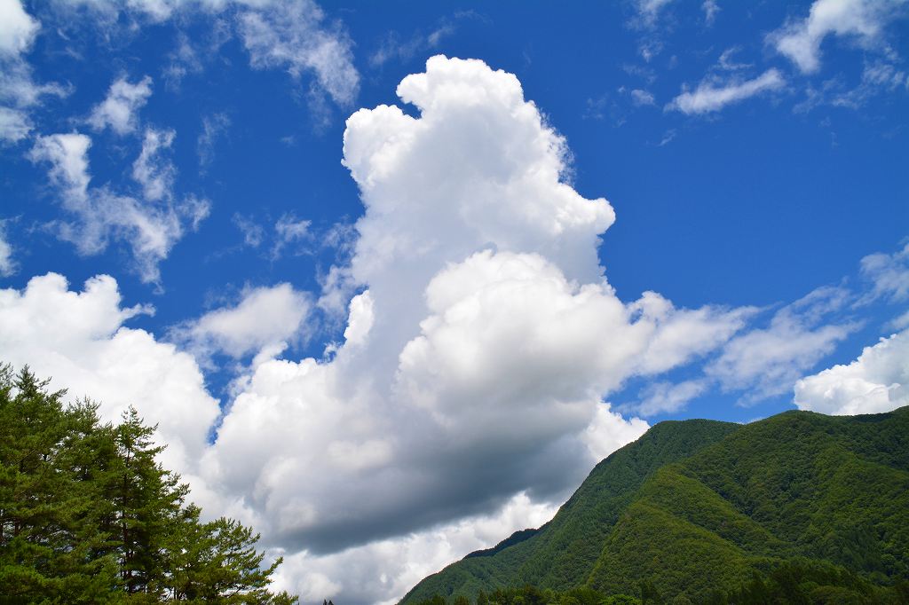 e0372207_238467.jpg