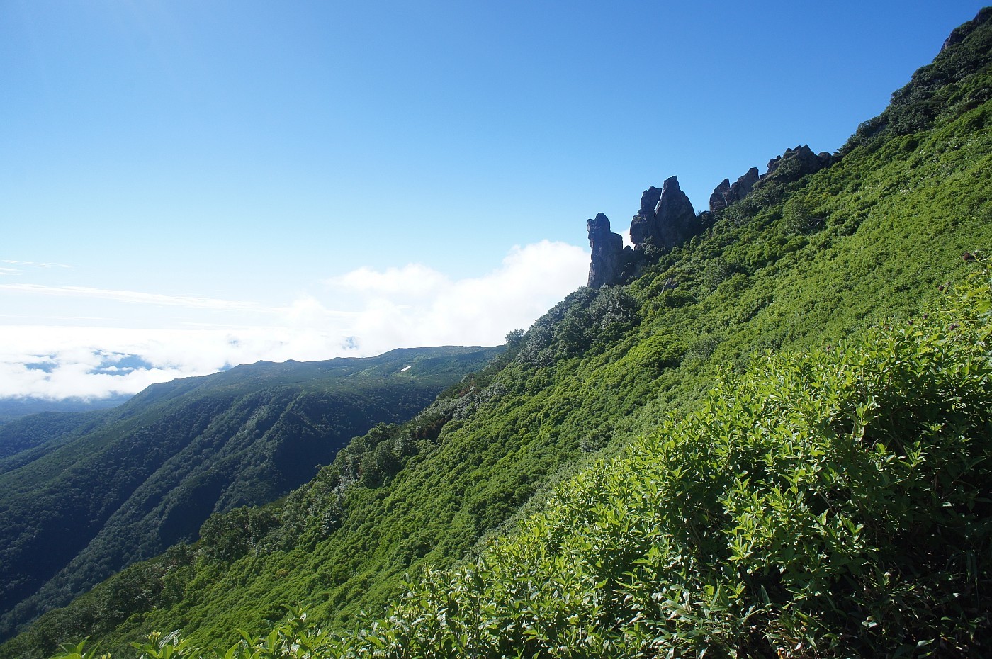 a0248508_17404493.jpg