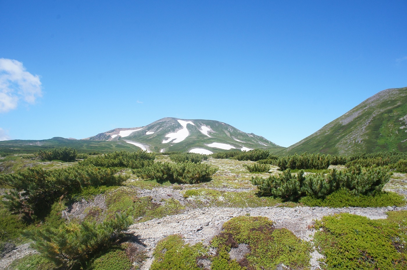 a0248508_17431986.jpg