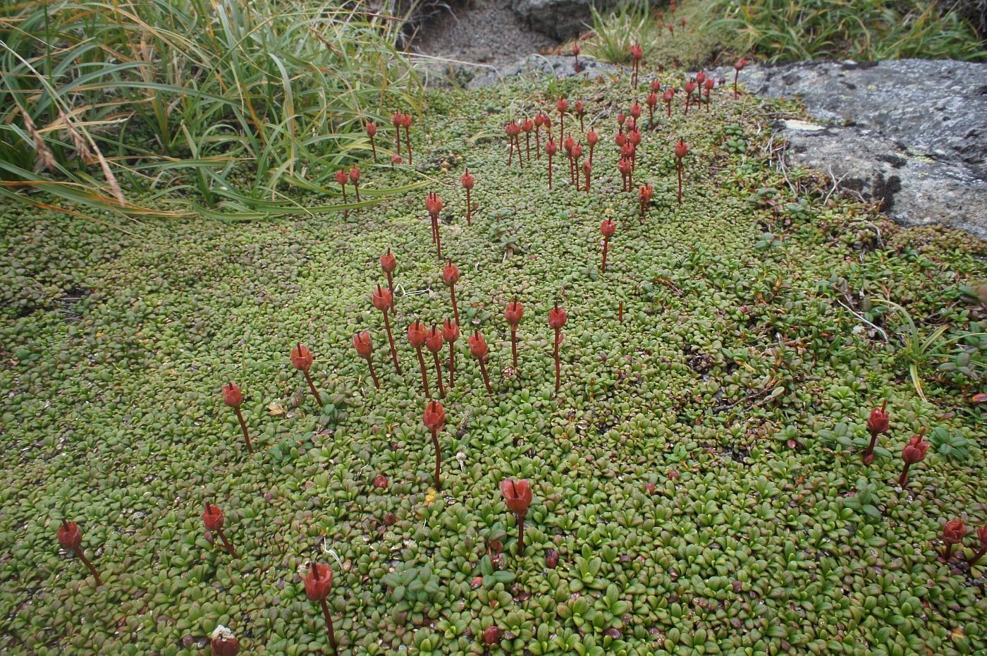 a0248508_17460160.jpg
