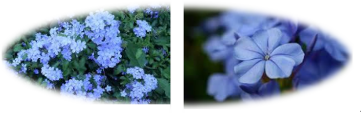 f0231709_01472944.png