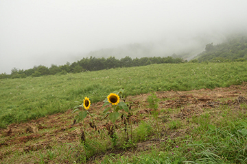 b0259218_01045259.jpg