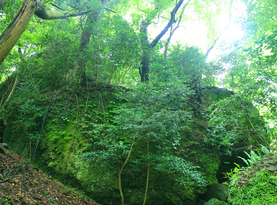 磁場調整？　観るだけでパワー☆国東半島の巨岩・奇岩群_a0329820_16542779.jpg