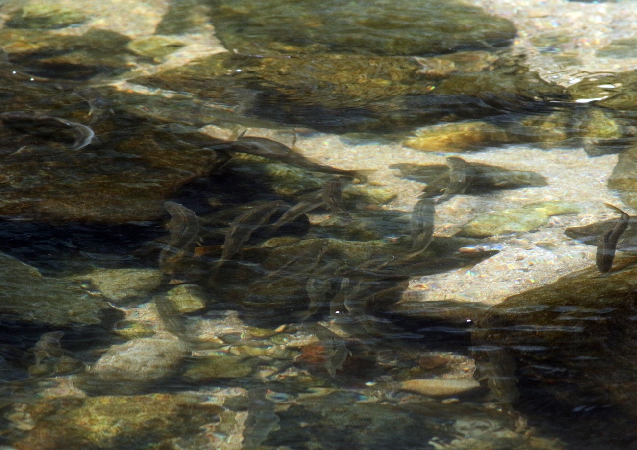 f0310221_23402340.jpg