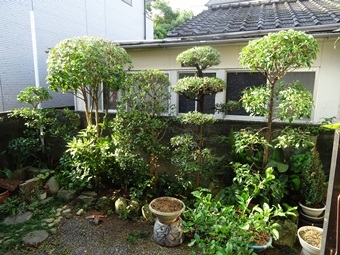 f0213825_16523079.jpg