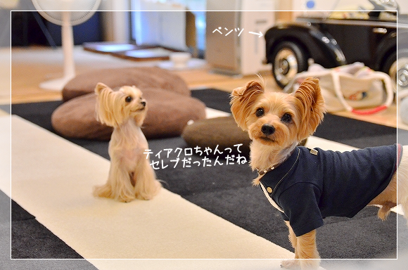 d0179828_17205735.png