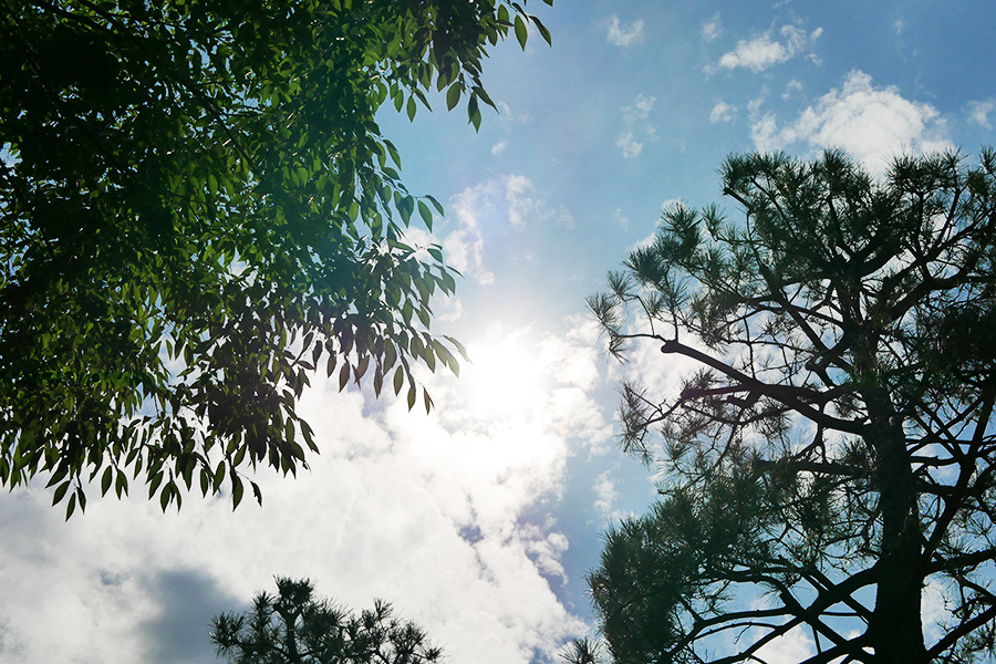 GF9 + Leica 15mm/f1.7 & 25mm/f1.7 - 休日フォト_d0372533_22562681.jpg