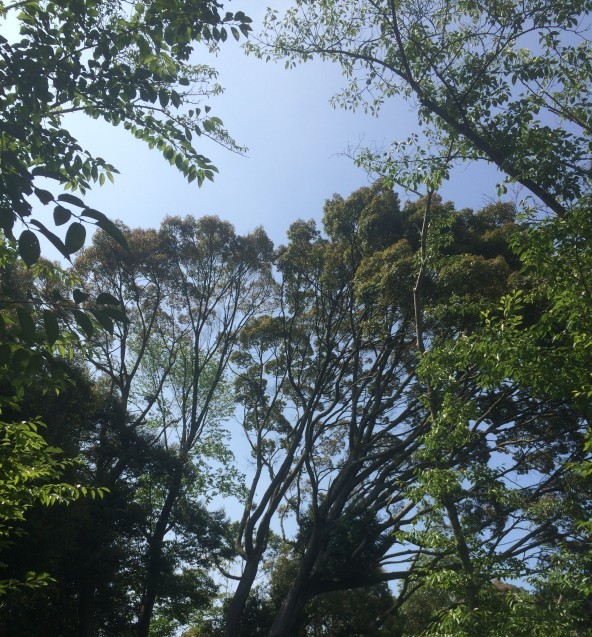 a0116442_00033010.jpg