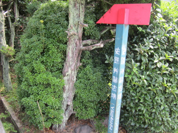 阿倍寺の近くの艸墓古墳_a0237545_00083369.jpg
