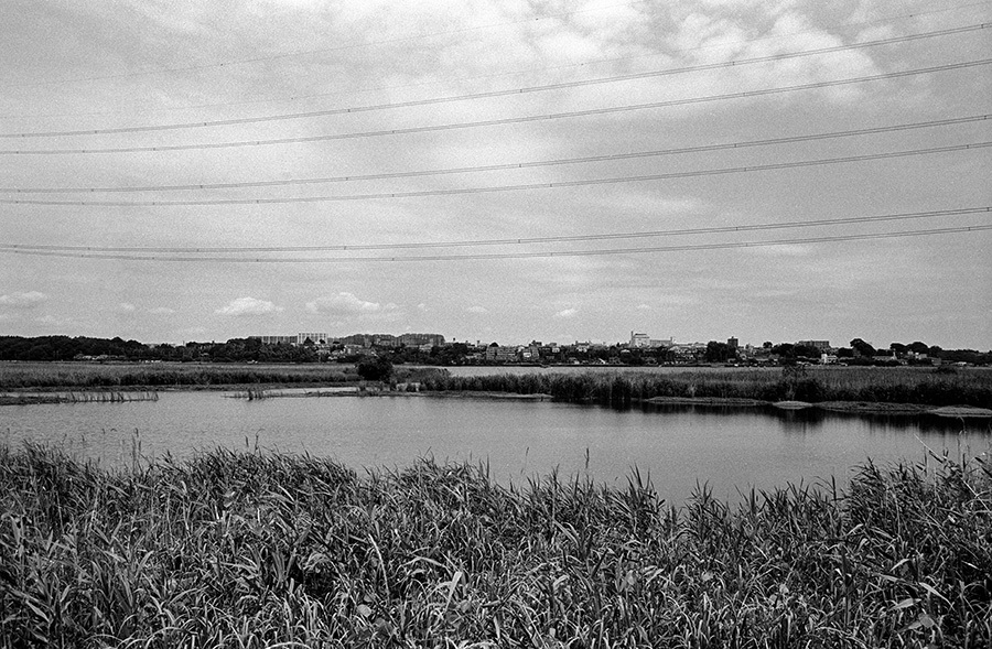 c0035245_00524897.jpg