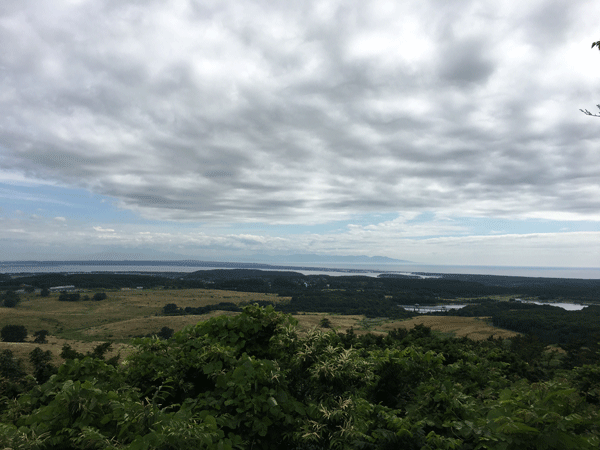 b0111551_21304113.gif