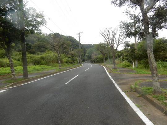 f0060461_13162640.jpg