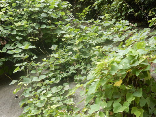 f0060461_13195331.jpg