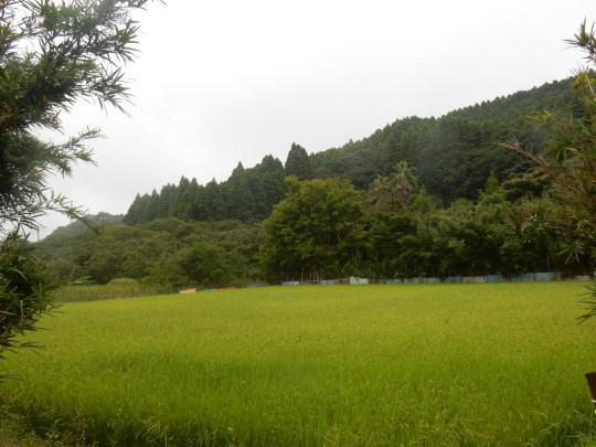 f0060461_13372165.jpg