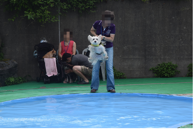 b0242873_23231463.png