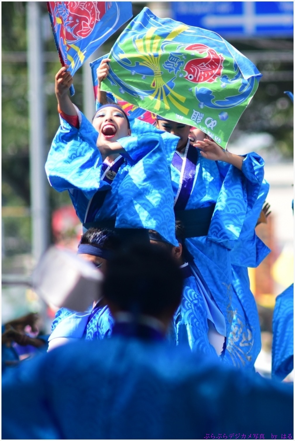 彩夏祭　2017　（９）朝霞鳴子一族 め組_b0104774_22071754.jpg