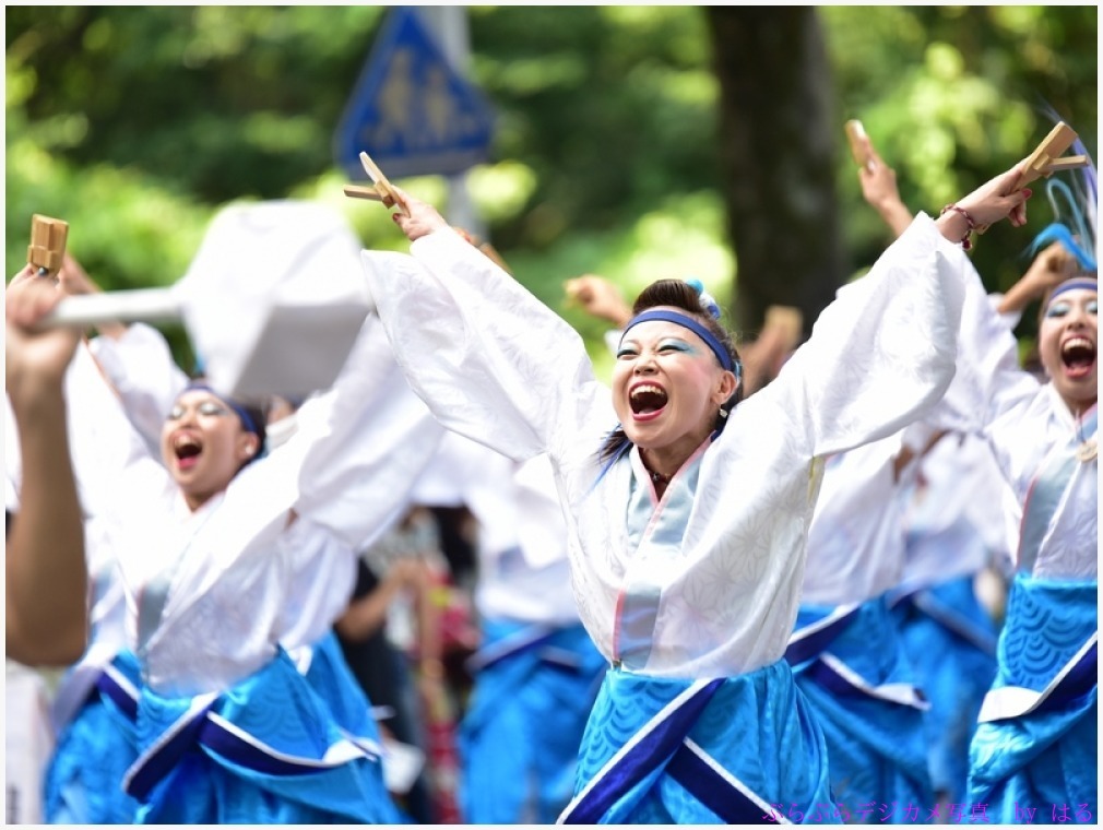 彩夏祭　2017　（９）朝霞鳴子一族 め組_b0104774_22073953.jpg