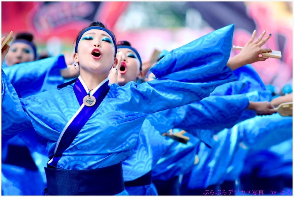 彩夏祭　2017　（９）朝霞鳴子一族 め組_b0104774_22084901.jpg