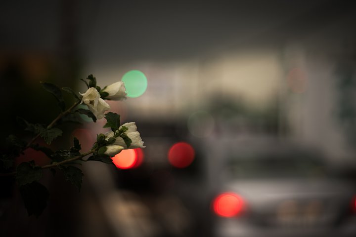 d0353489_20343057.jpg
