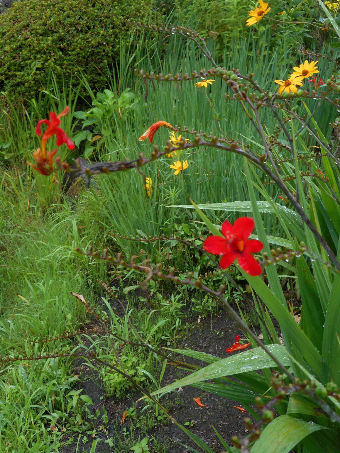 f0075595_20000831.jpg