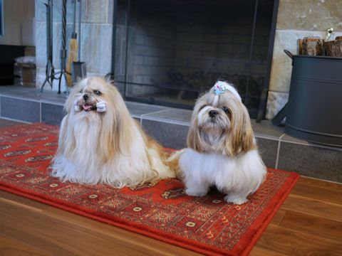 c0090198_1359372.jpg
