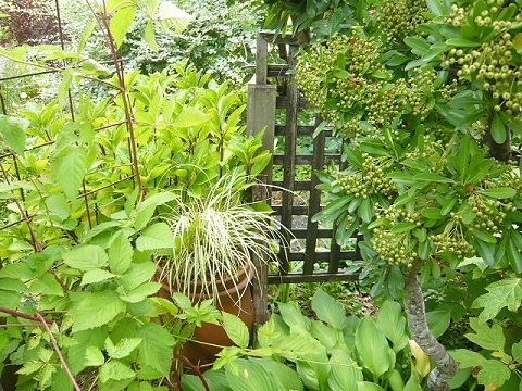 c0112206_233751100.jpg