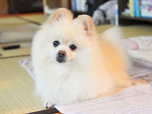 どこにも行かない_d0360206_10085138.jpg