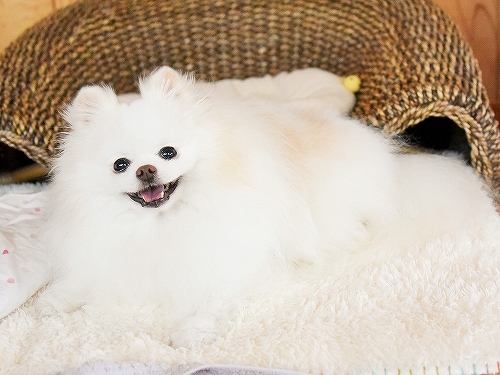 どこにも行かない_d0360206_10093638.jpg