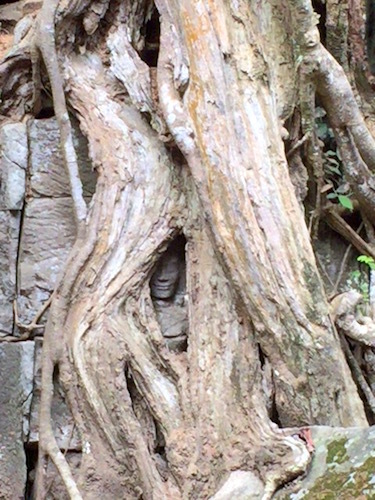 タ・プローム　遺跡を喰らう巨木と美しいデヴァター　_d0341811_11292159.jpg