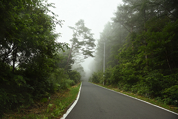 b0259218_00515774.jpg