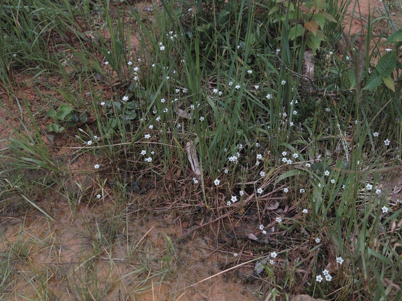 c0008948_173221.jpg