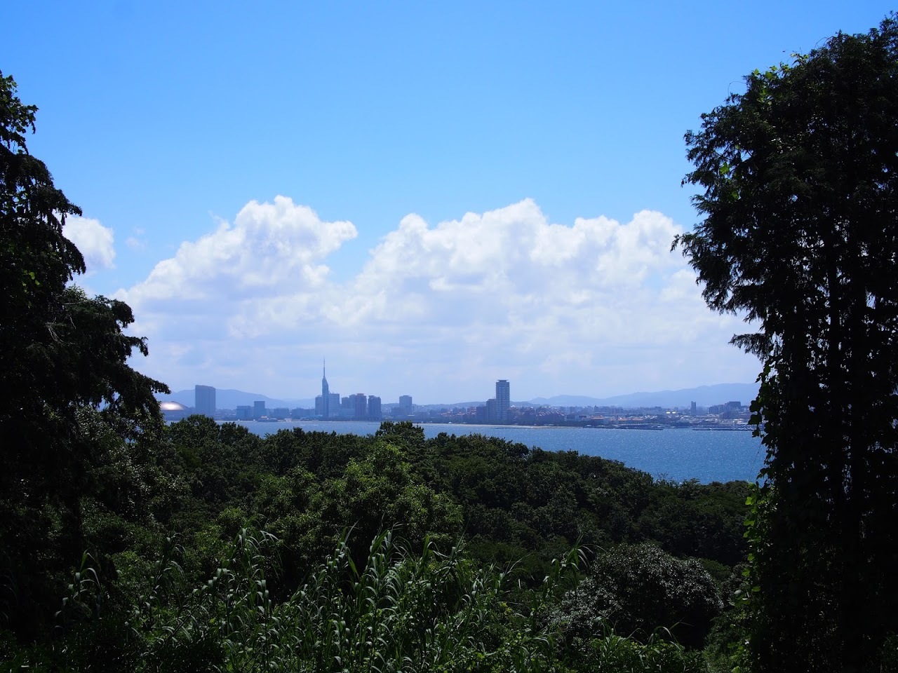 f0201157_12304420.jpg