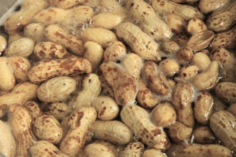 落花生の塩ゆで 茹でピー 島原の料理教室 クッキングクラブ島原 落花生の塩ゆで 茹でピー 島原の料理教室 クッキングクラブ島原
