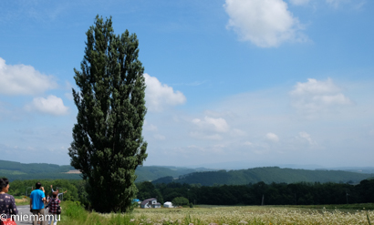 d0340565_21010497.jpg