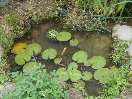 お盆を前に 湧き水水路のメンテナンス_a0344771_17415126.jpg