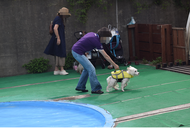 b0242873_00100636.png