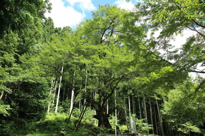 c0358784_21104542.jpg
