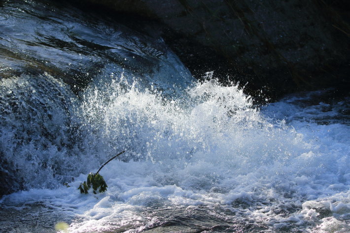 c0358784_21132982.jpg
